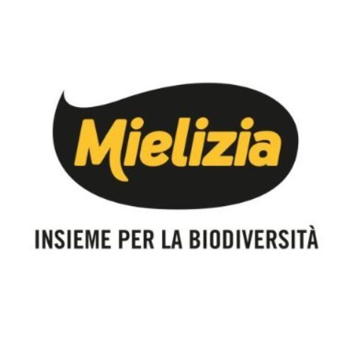 Progetto senza titolo (2)